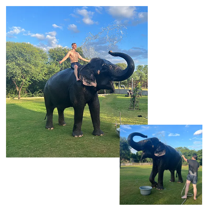 Bathing-with-Elephant