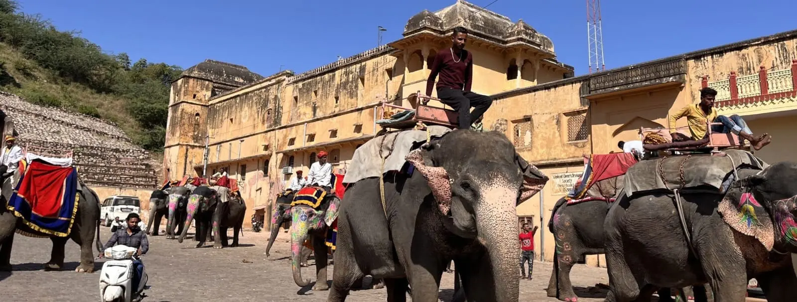 Elephant Sanctuary, Elephant Ride, and Elephant Safari in Jaipur: A Complete Guide