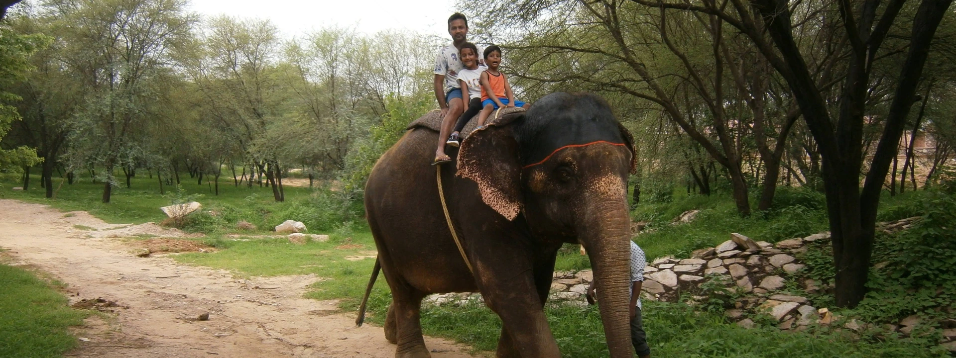 Journey Through Jaipur, India: Elephant Rides and Tours Await | Elefriendride