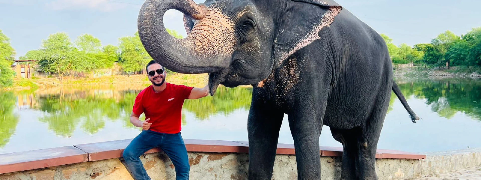 Join an Unforgettable Elephant Safari Adventure in Jaipur, India | Elefriendride