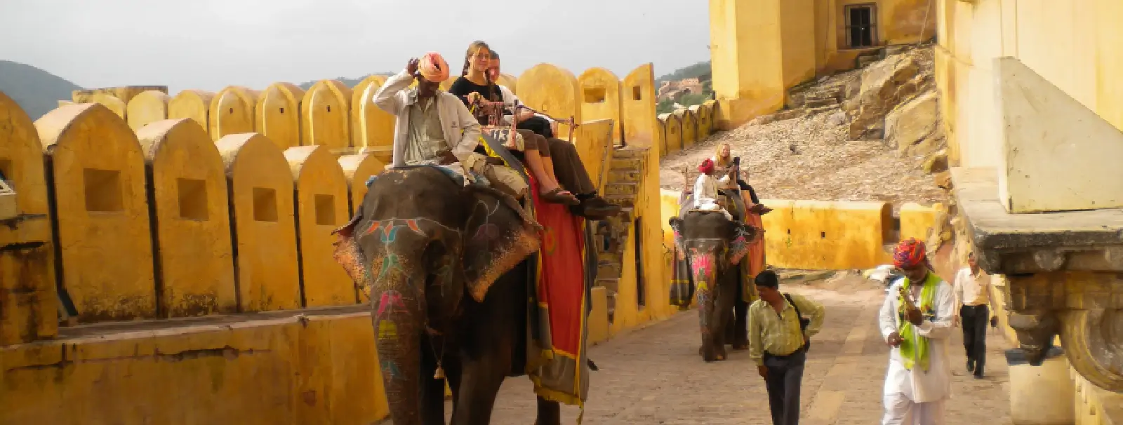Experience Ethical Elephant Activities at Jaipur’s Top Sanctuary
